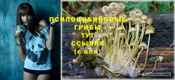 первитин Алексеевка