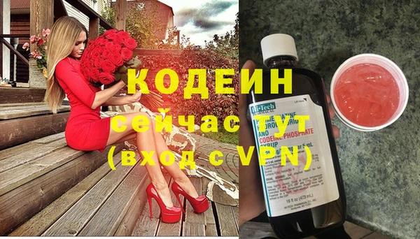 гидра Арсеньев
