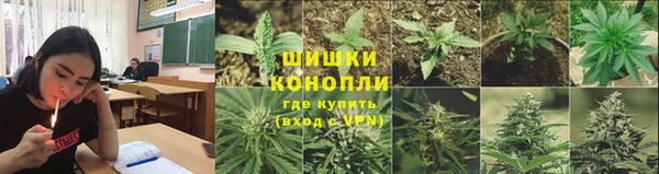 гидра Арсеньев