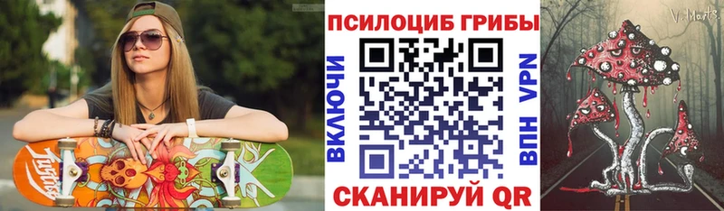 даркнет сайт  Тара  Псилоцибиновые грибы Cubensis 