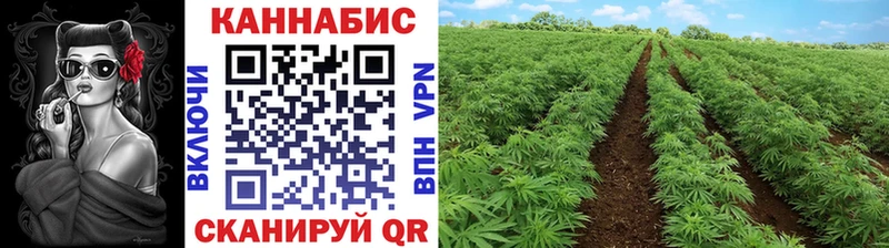 Бошки Шишки Ganja Тара